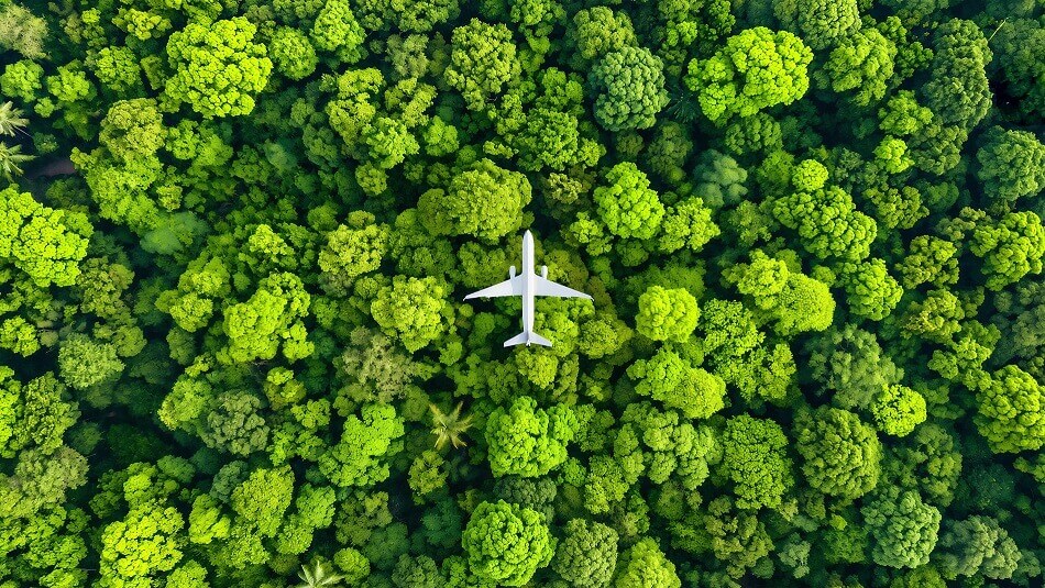 plane flying over green forest